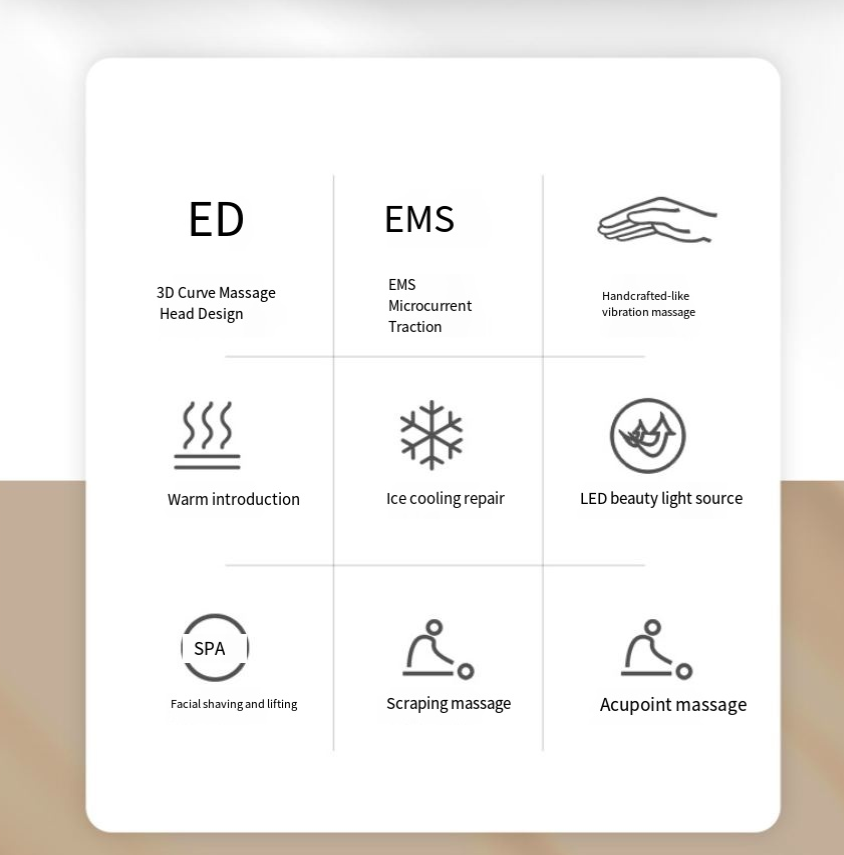 Electric EMS Gua Sha Massager